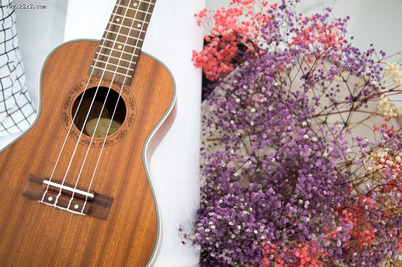 小清新感十足的尤克里里图片大全