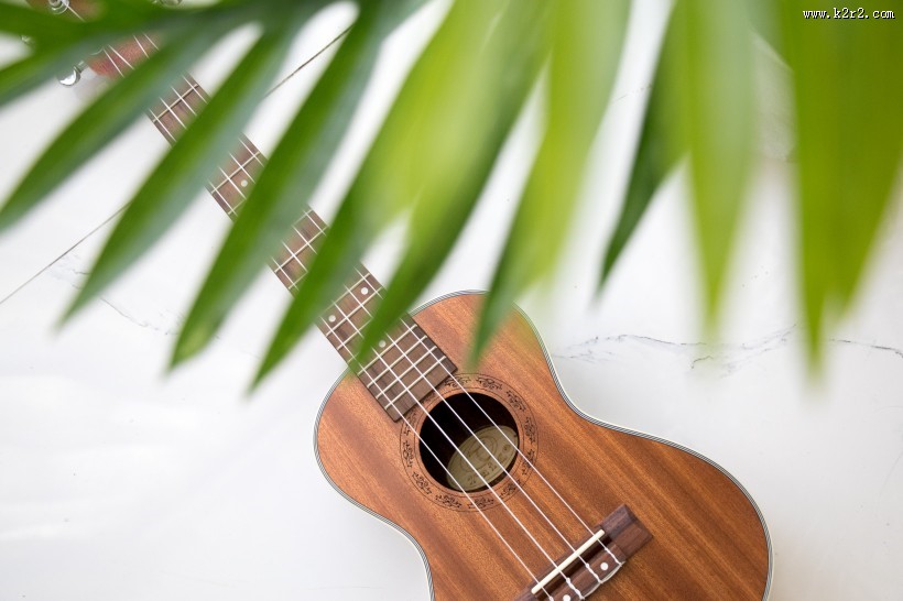 小清新感十足的尤克里里图片大全