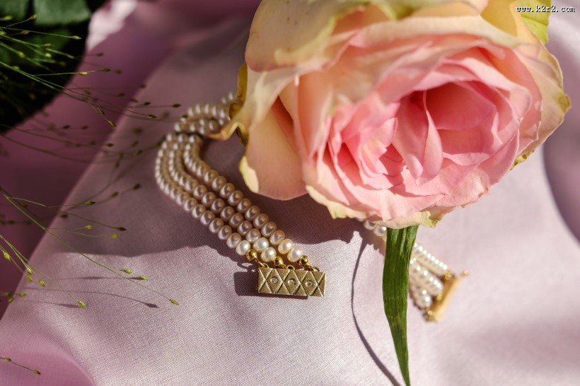 唯美的珍珠项链图片