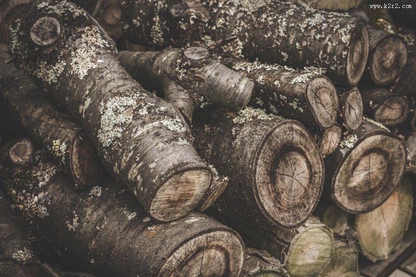 被切割好的木材图片