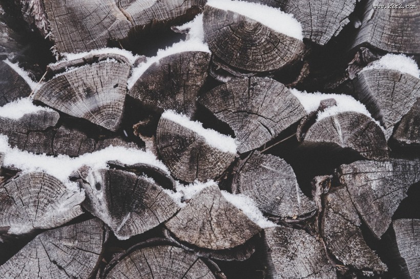 被切割好的木材图片