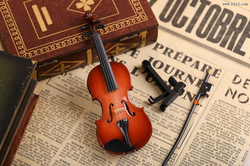 漂亮的小提琴玩具图片大全
