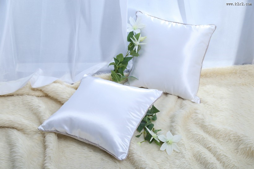 漂亮的丝绸抱枕图片大全