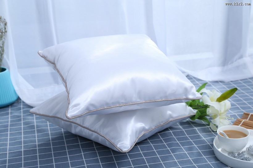 漂亮的丝绸抱枕图片大全