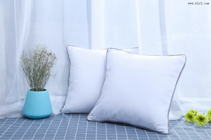 漂亮的丝绸抱枕图片大全