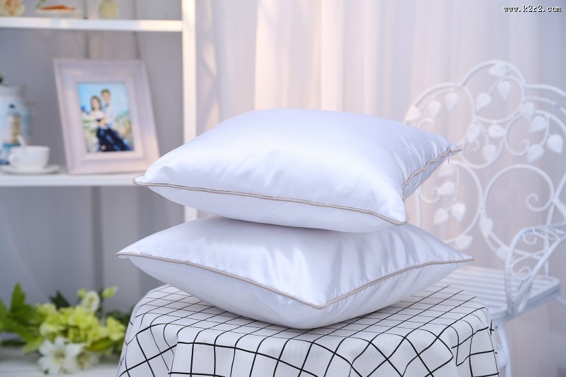 漂亮的丝绸抱枕图片大全