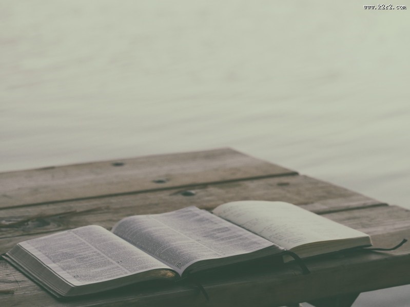 摊开放置的英语书图片