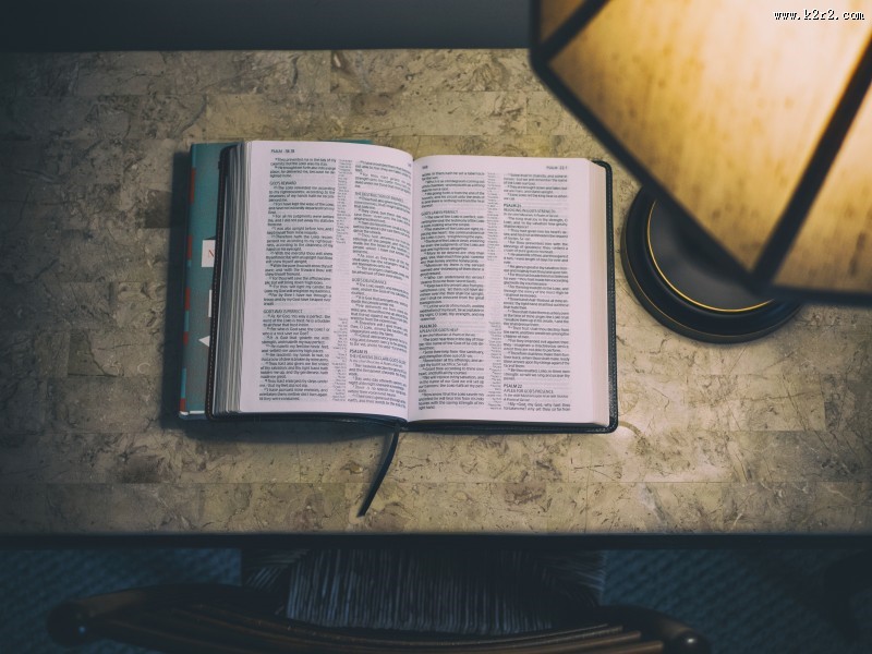 摊开放置的英语书图片