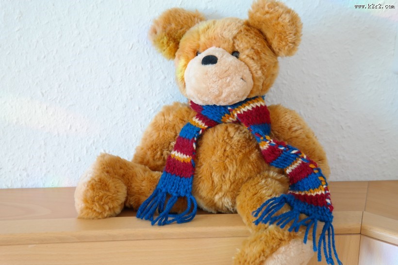 可爱的玩具小熊图片