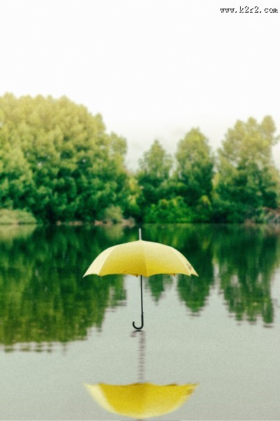 颜色各异的雨伞图片大全