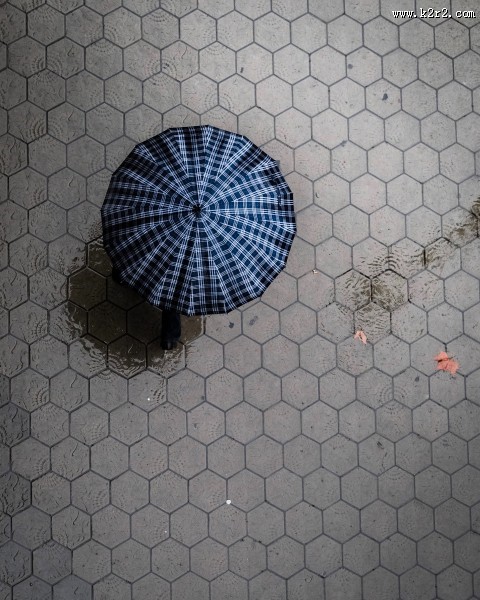 颜色各异的雨伞图片大全