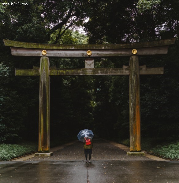 手里撑着伞的人图片大全