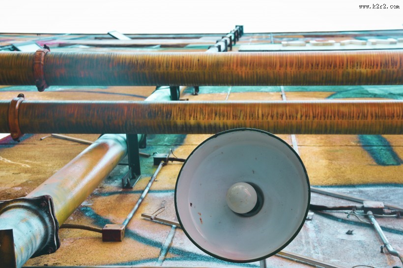 灯泡特写的图片