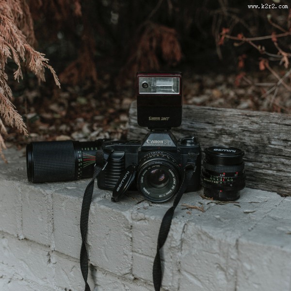不同型号的佳能相机图片