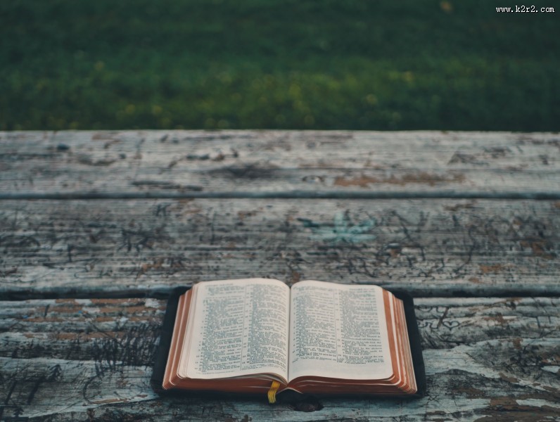 一本被翻开的英语书图片