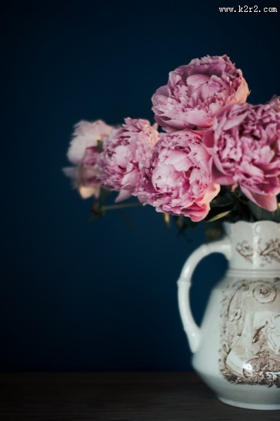 插花的花瓶图片