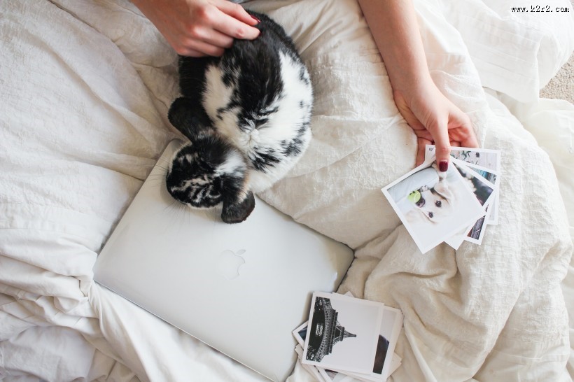 值得回忆的照片图片