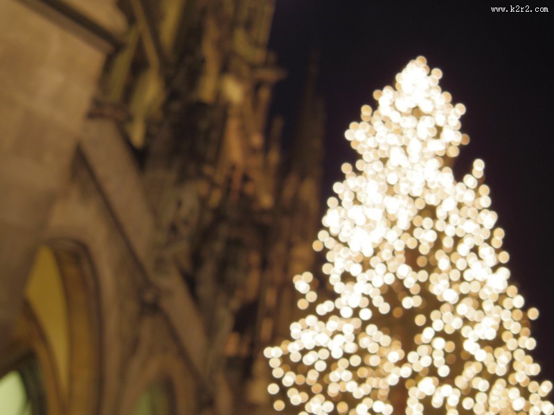 德国的圣诞树图片