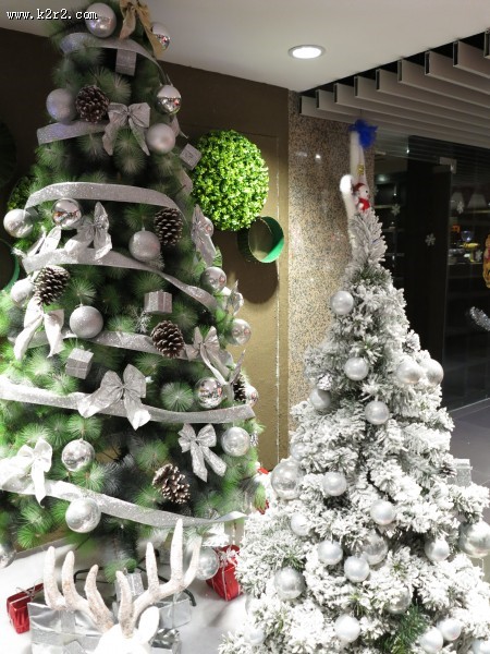 德国的圣诞树图片