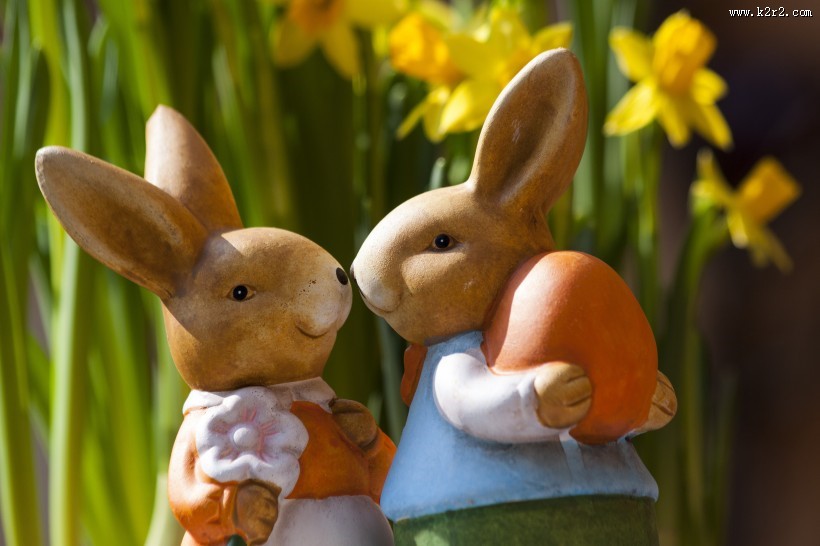 卡通动物玩具图片