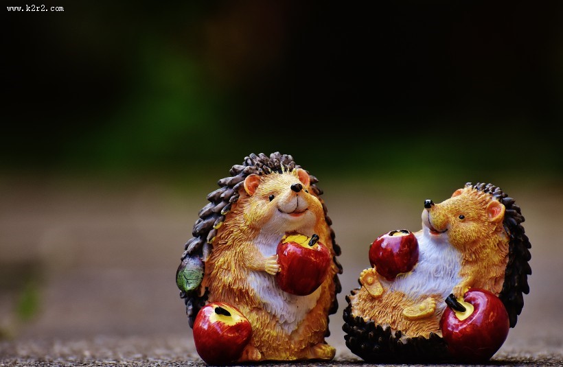 卡通动物玩具图片