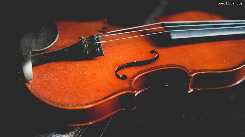 高雅的小提起图片