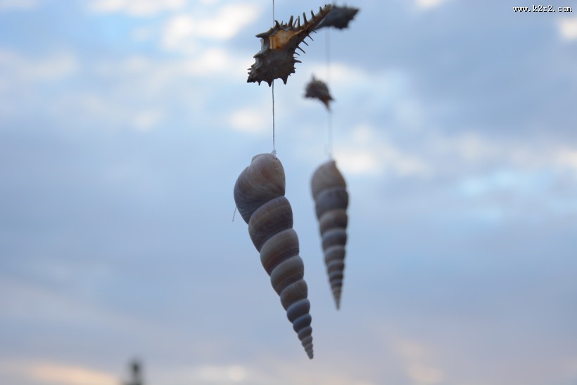 轻轻摇动的风铃图片大全