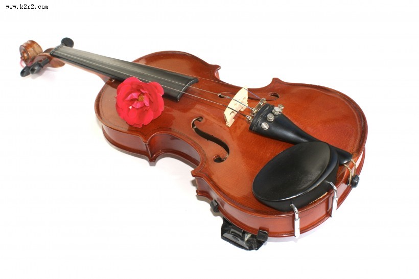 优雅的小提琴图片大全
