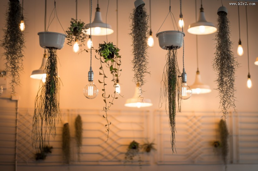 精美的吊灯图片