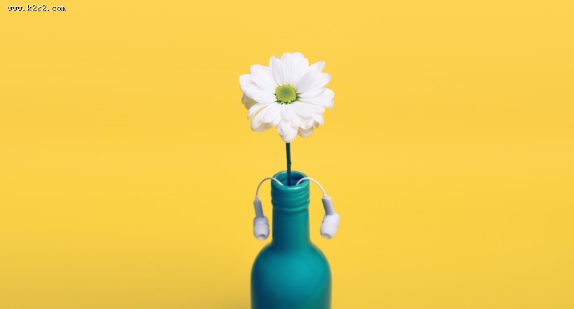 文艺感十足的花瓶图片