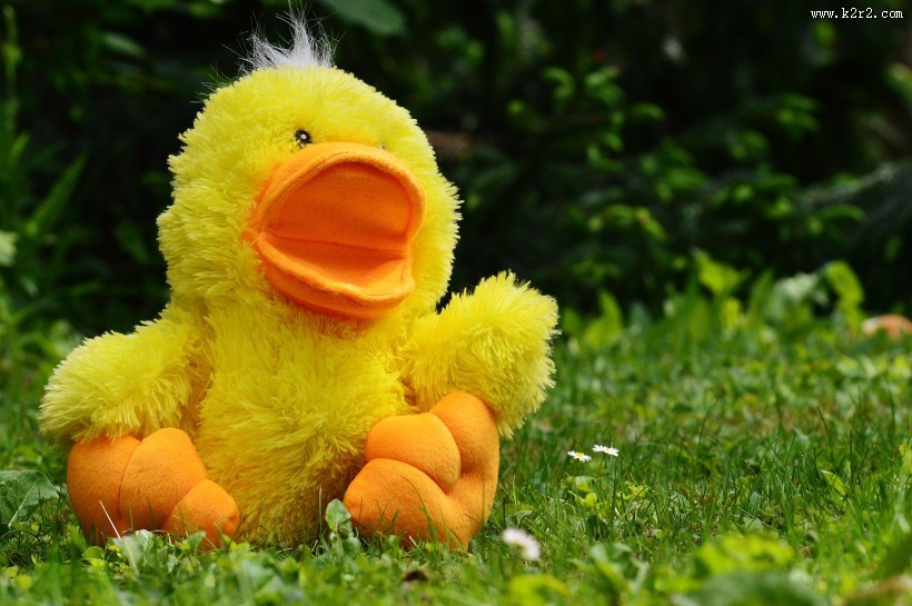 有趣的鸭子形状玩具图片