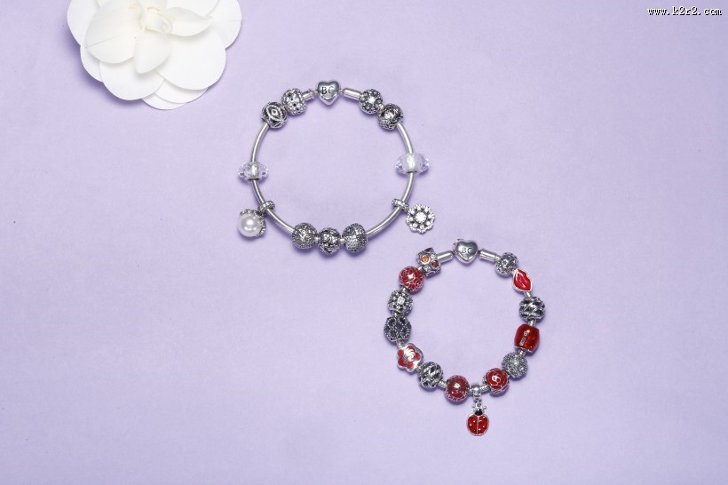 精美的银项链图片