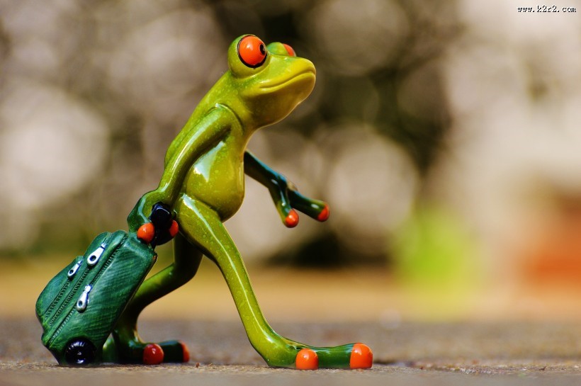 可爱的青蛙玩具图片