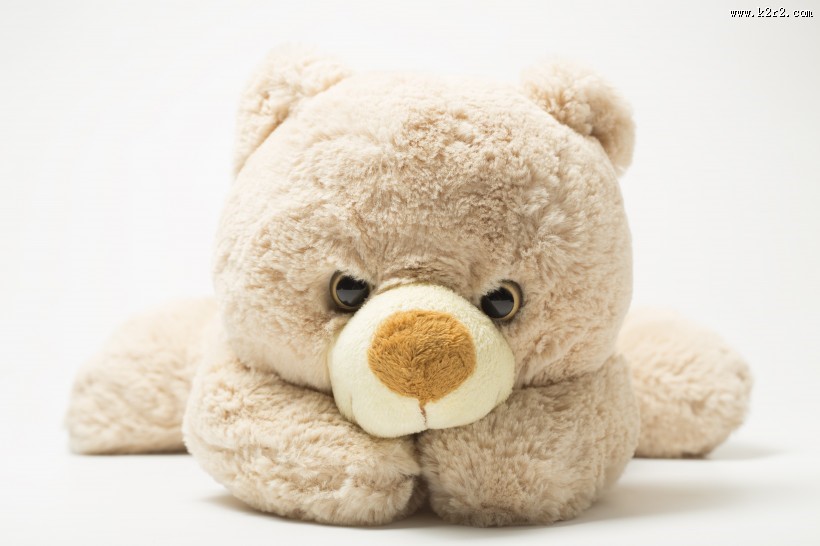 可爱的玩具熊图片