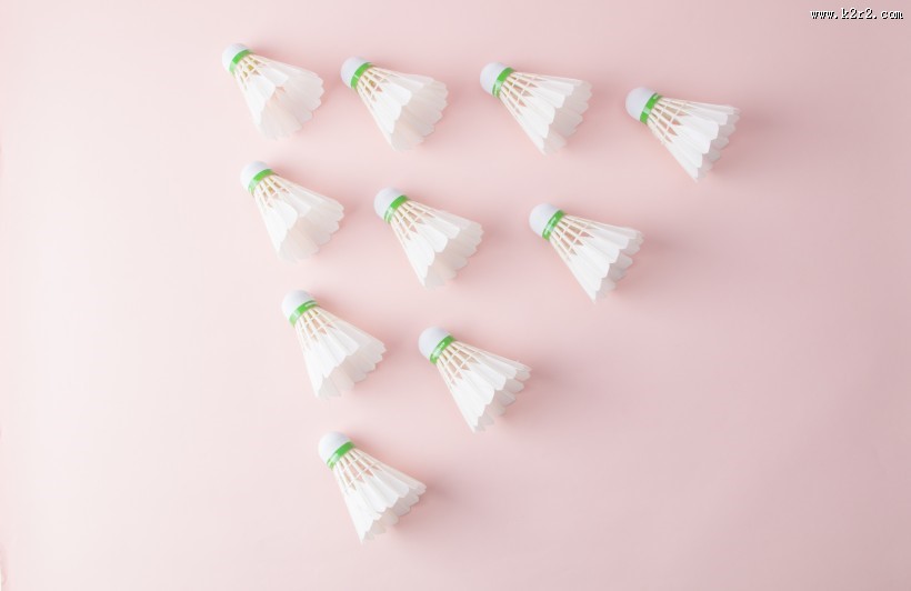 白色羽毛球图片