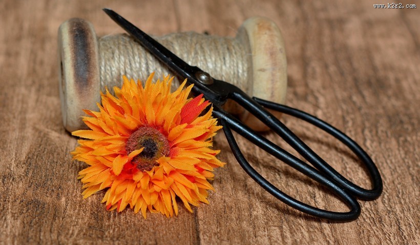 各种各样的剪刀图片