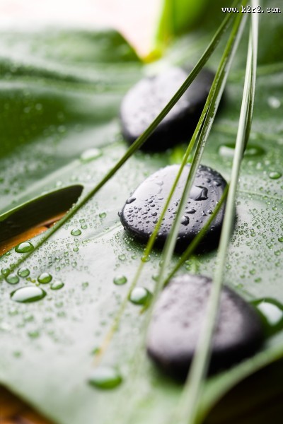 花朵和spa鹅卵石图片