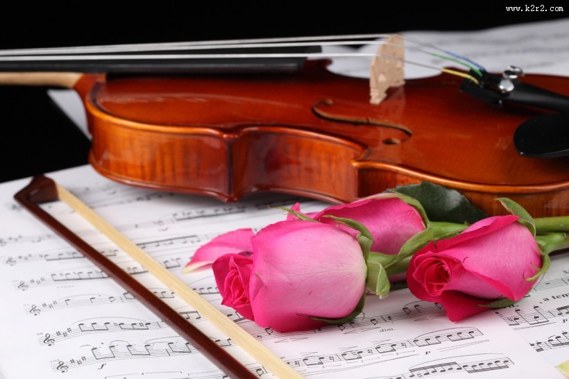 优雅的小提琴图片