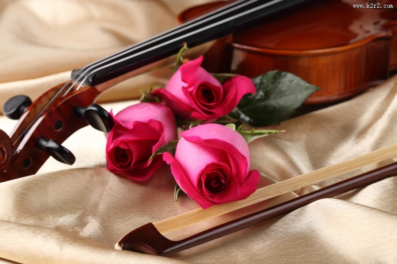 优雅的小提琴图片
