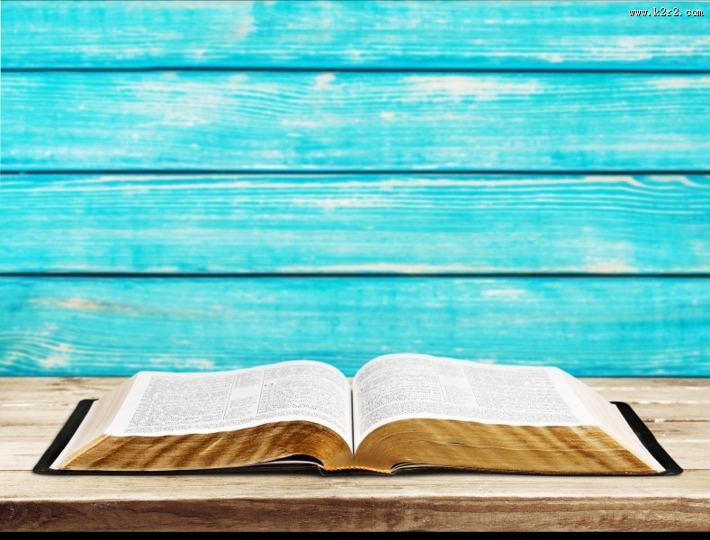 翻开的书本图片