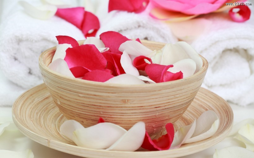 唯美的SPA用品特写图片