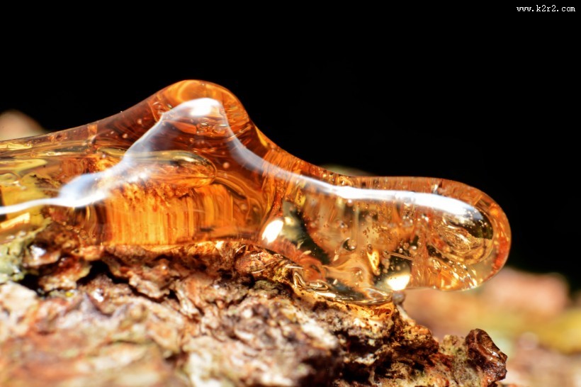 精美琥珀图片