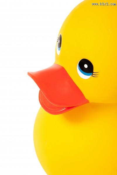 小黄鸭玩具图片