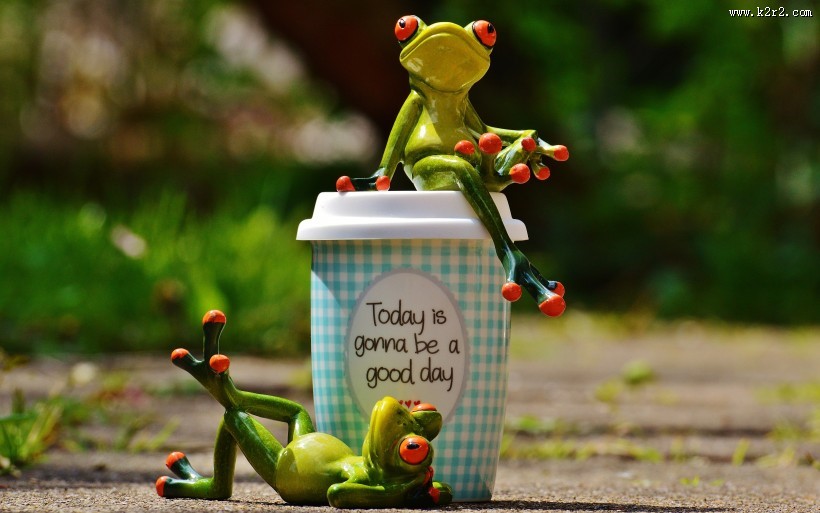 创意可爱搞笑青蛙家居摆件图片