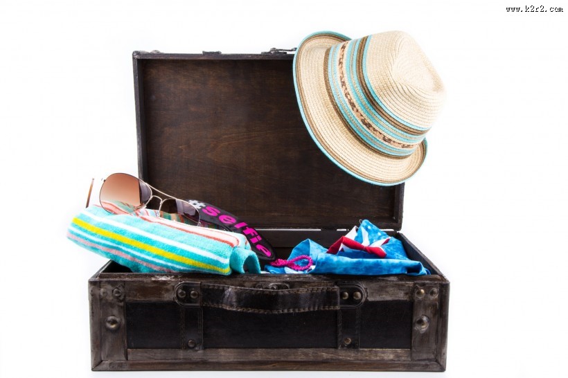 装东西的手提箱图片