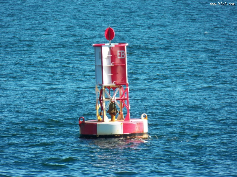 水中的浮标图片