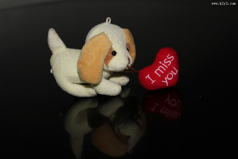 狗狗毛绒玩具图片