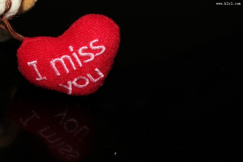 狗狗毛绒玩具图片