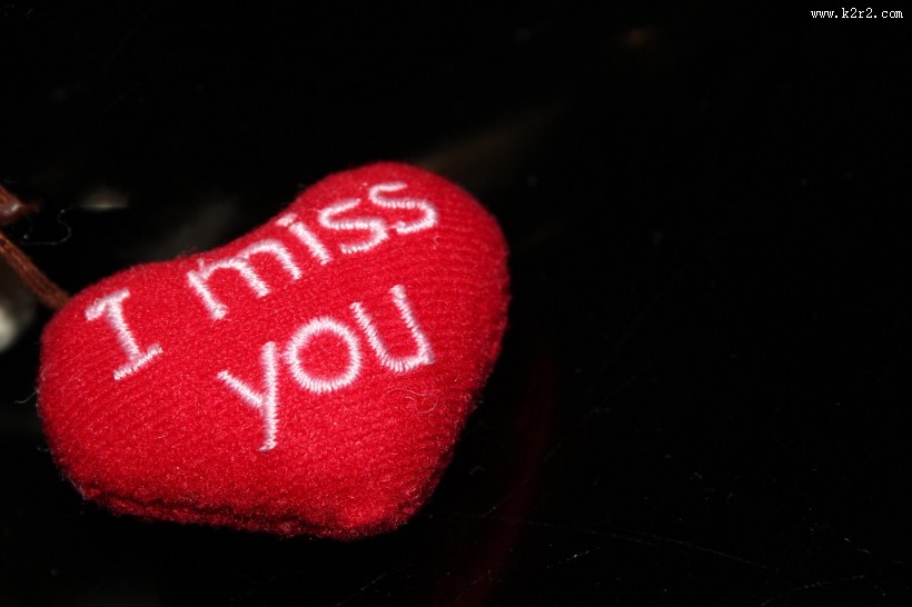 狗狗毛绒玩具图片