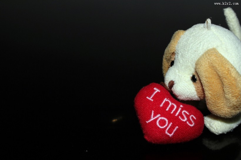 狗狗毛绒玩具图片